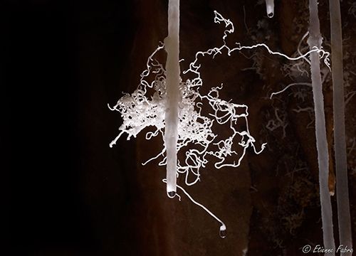Fistueuse et excentriques d'aragonite ©Etienne Fabre